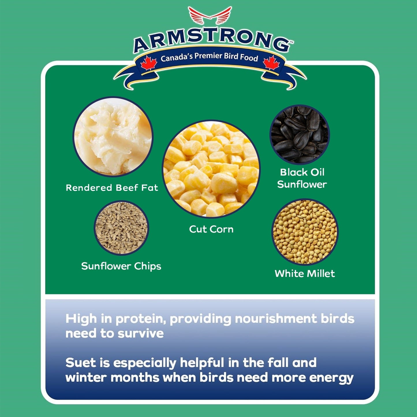 Armstrong Wild Bird Food Birder'S Choice Suet Cake, 11.3Oz (Pack of 8)