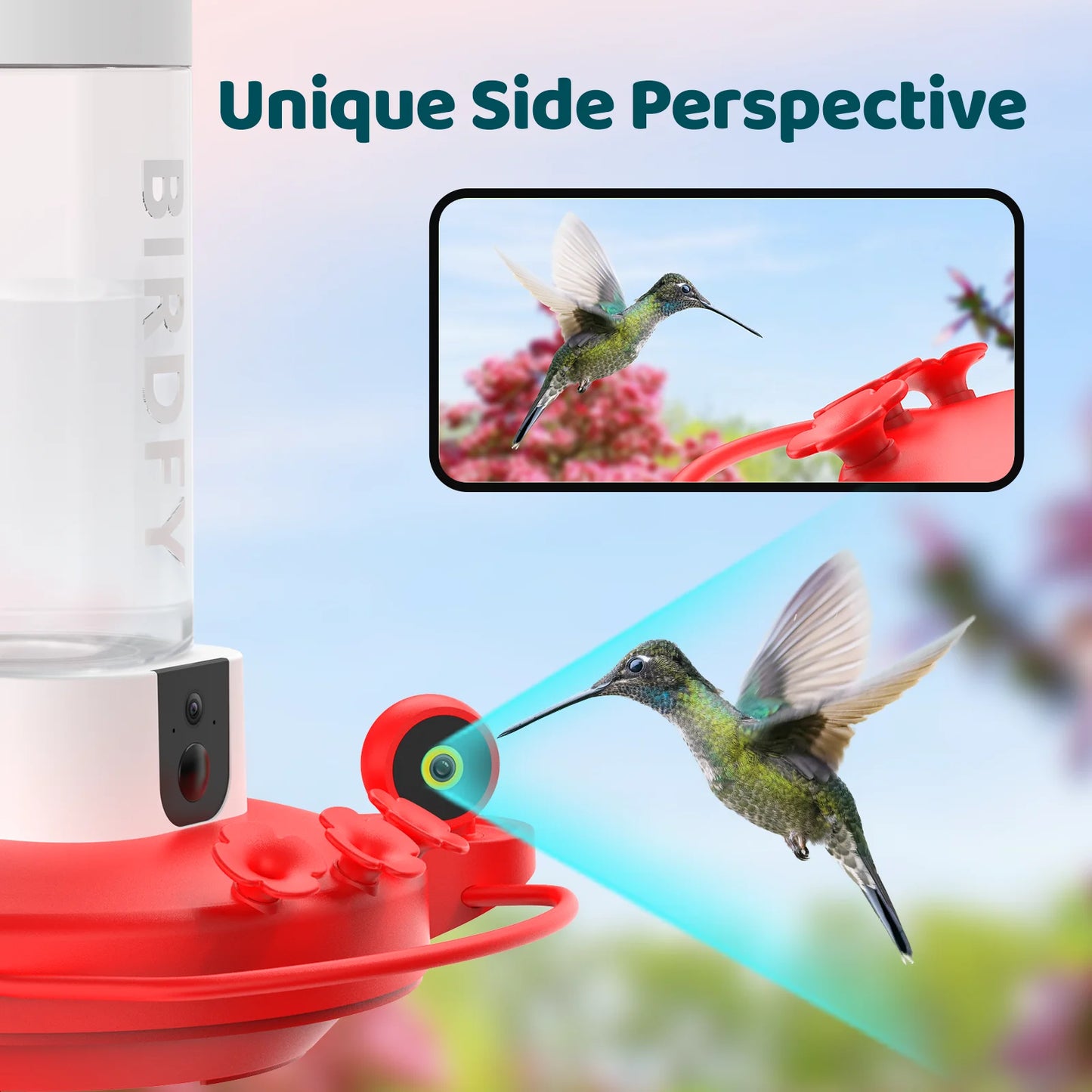 Netvue Ā® Hummingbird Feeder with Camera, 2K - Dual Camera Hummingbird Feeder