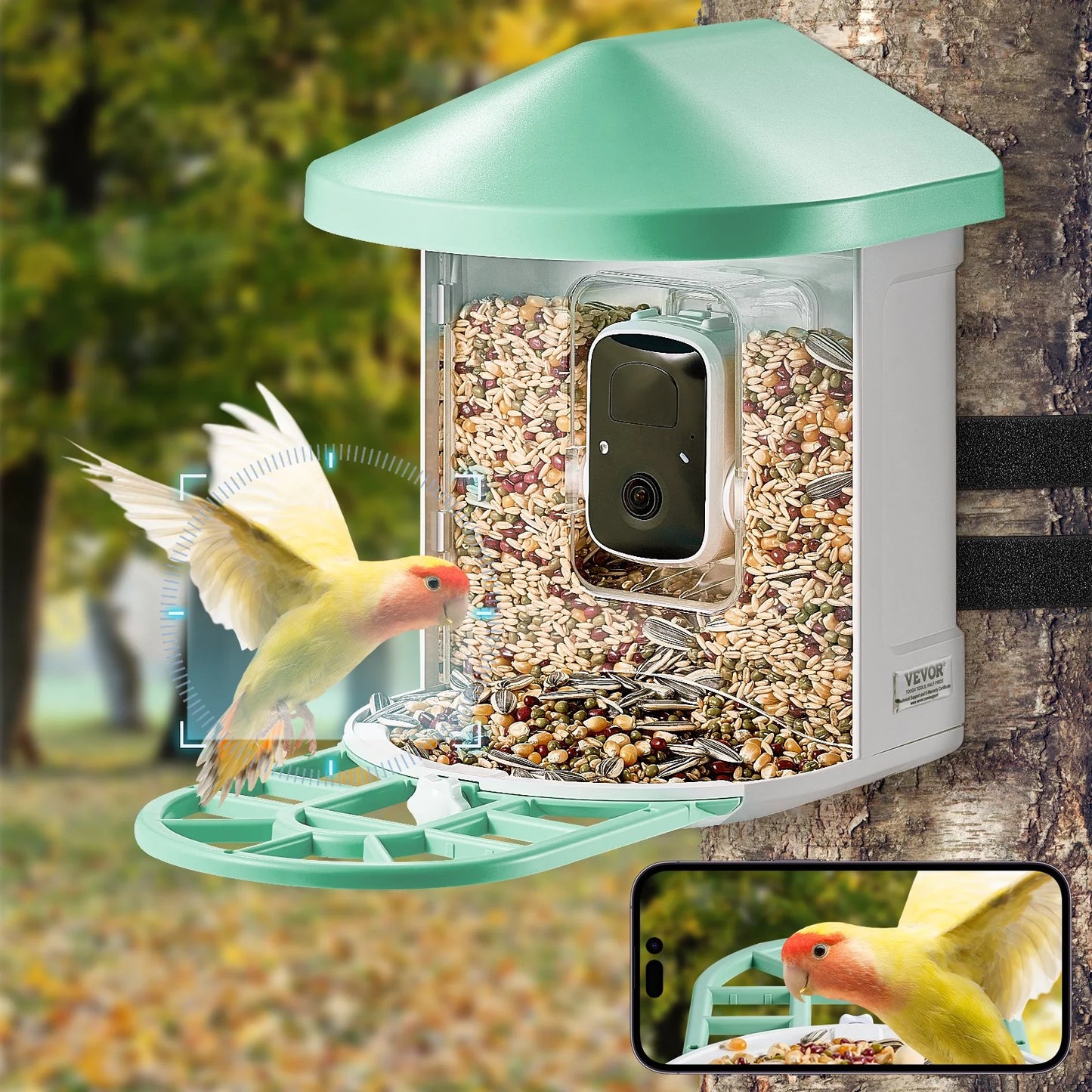 Smart Bird Feeder with Camera 2K HD