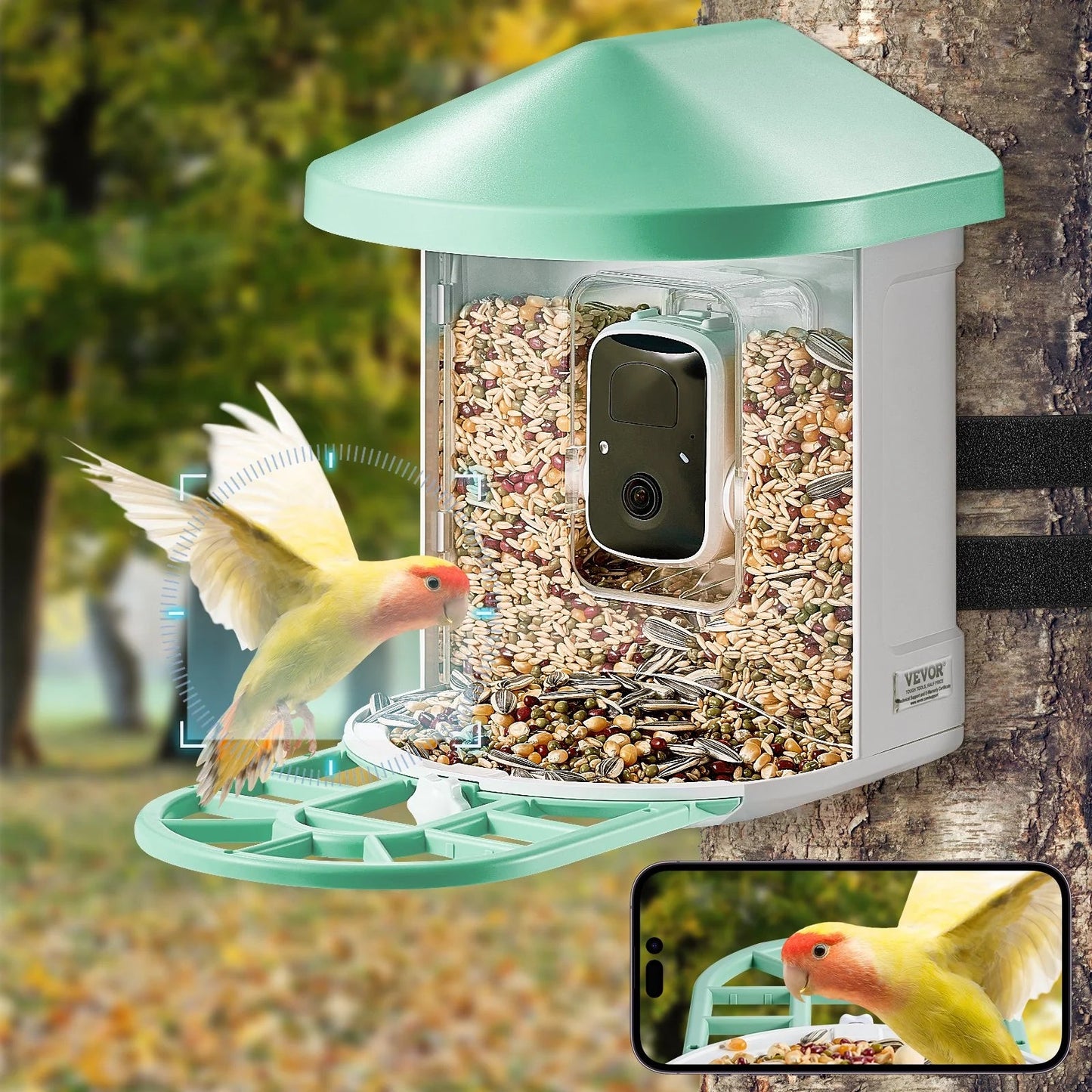 Smart Bird Feeder with Camera 2K HD