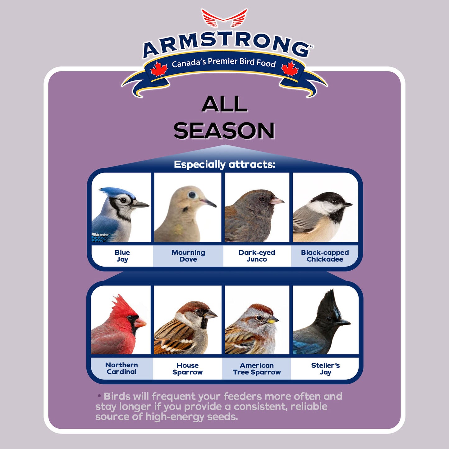 Armstrong Wild Bird Food All Season Bird Seed Blend, 33Lbs