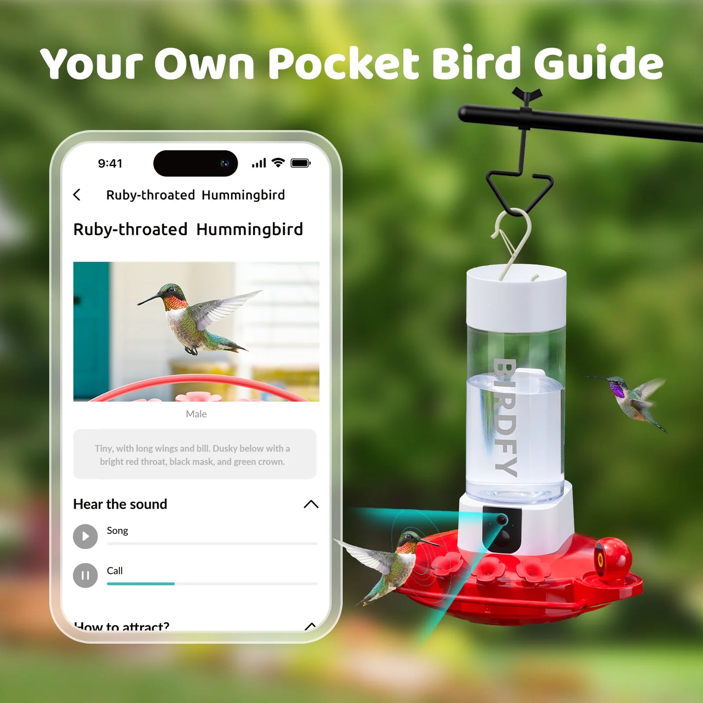 Netvue Ā® Hummingbird Feeder with Camera, 2K - Dual Camera Hummingbird Feeder