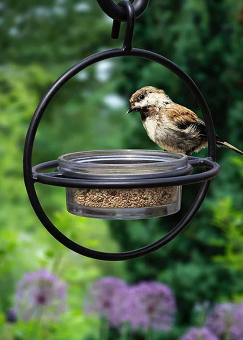 Hanging Bird Feeder with Glass Bowl