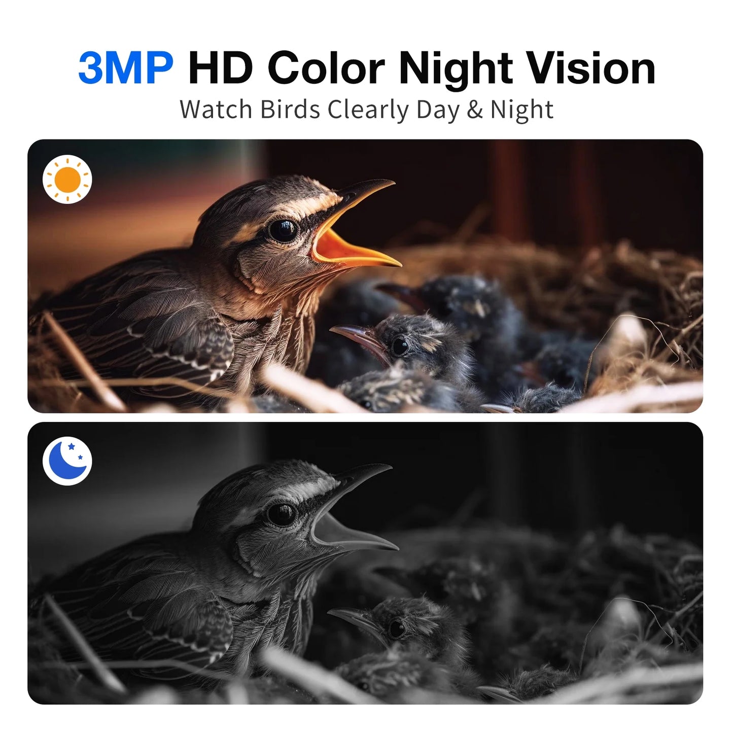 Smart Bird House with Camera