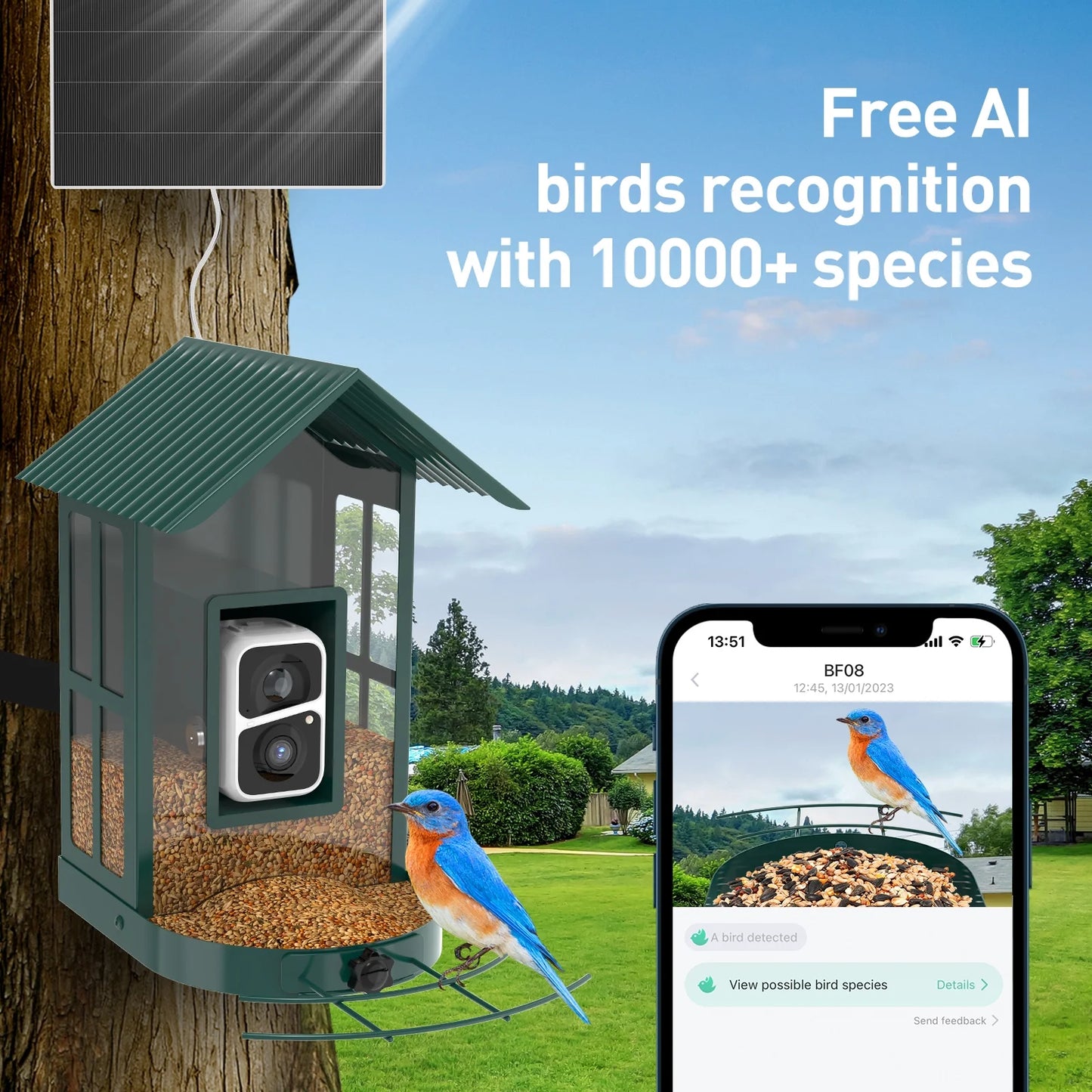 Bird Feeder Camera with 5W Solar Panel