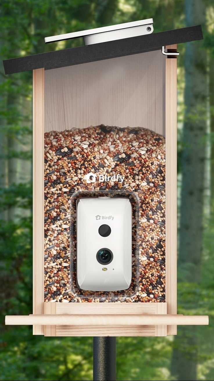 Birdfy Smart Bird Feeder with Integrated Solar Panel and Camera