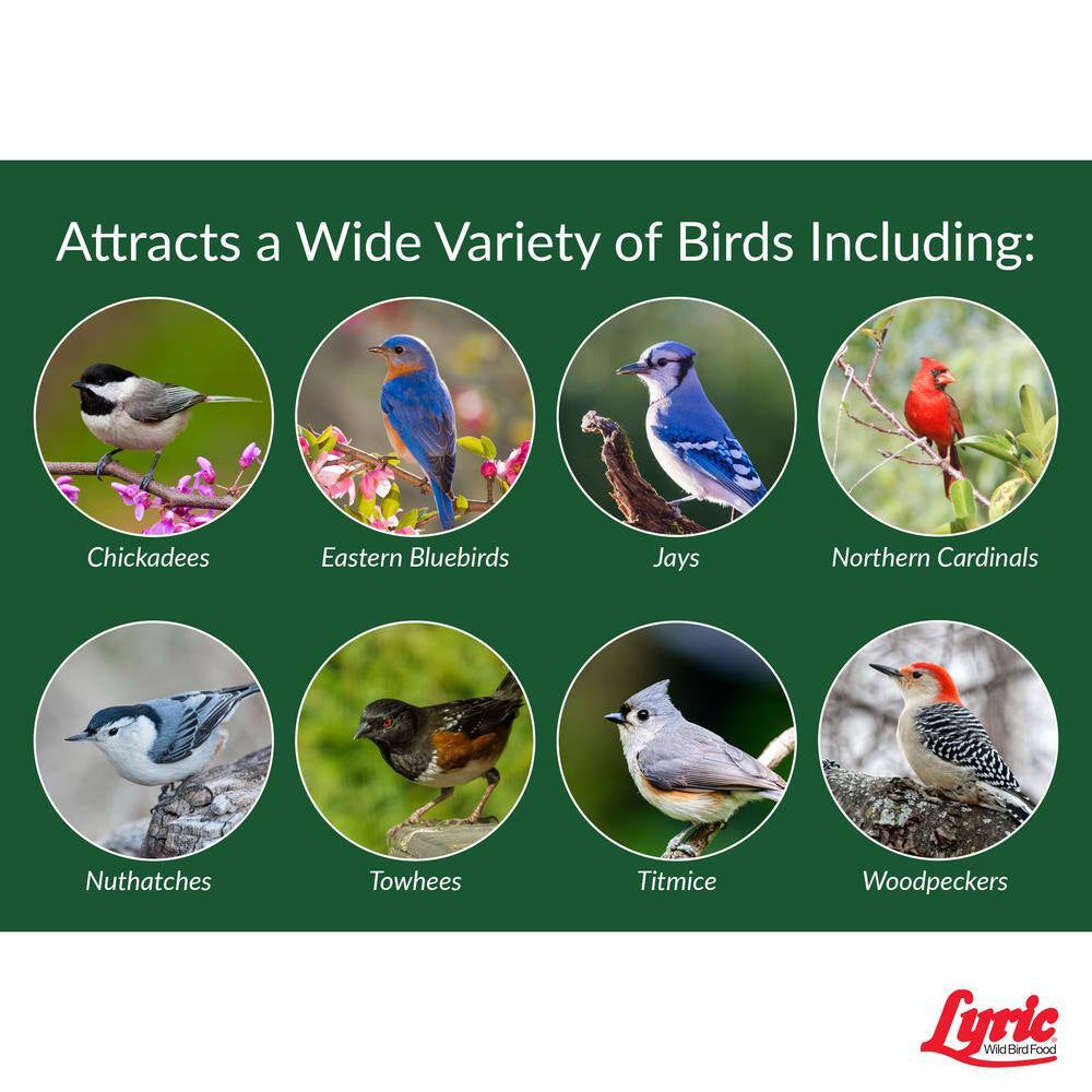 Lyric Peanut Pieces Wild Bird Food - 15lbs