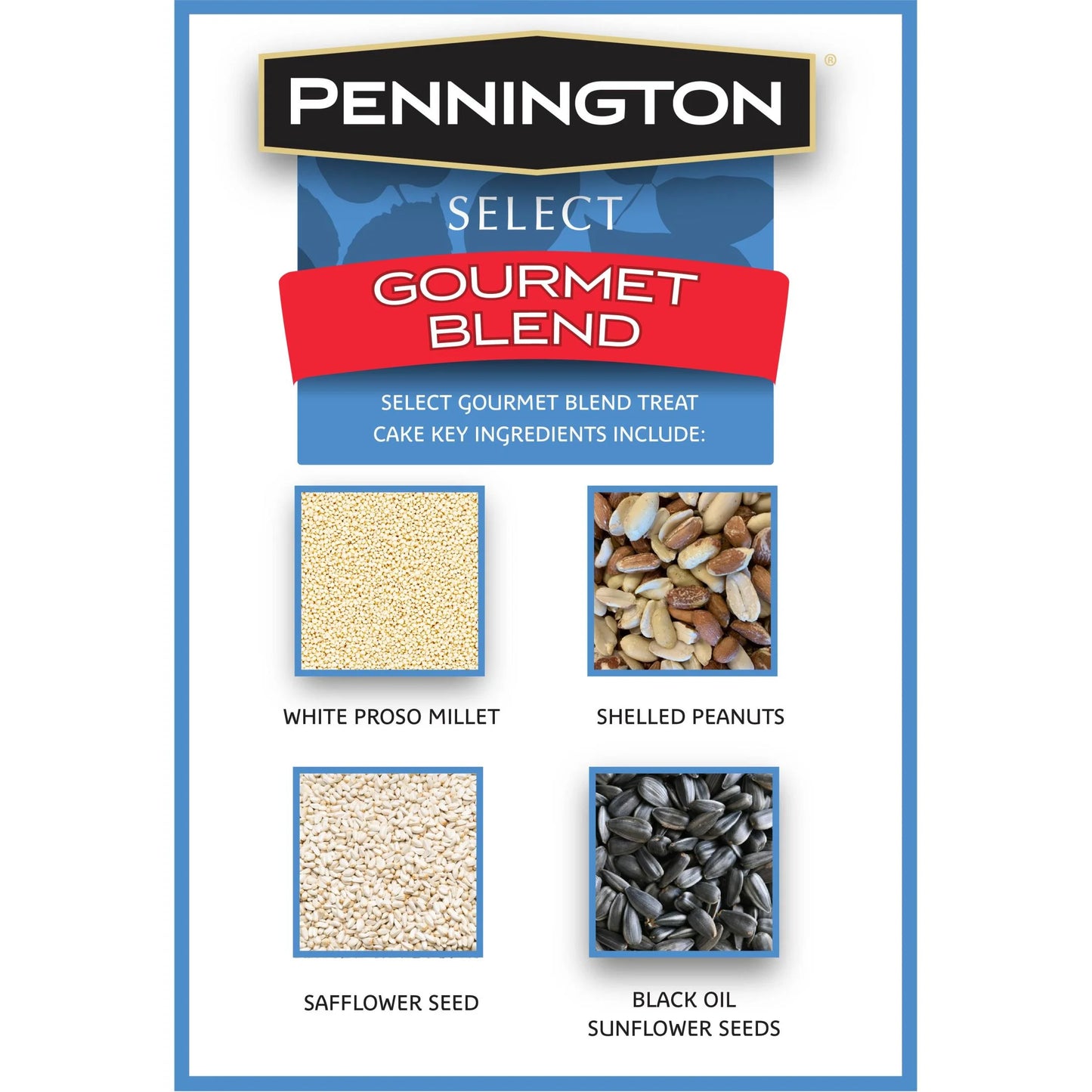 Premium Gourmet Wild Bird Seed Cake - 2 Lb., 2 Packs