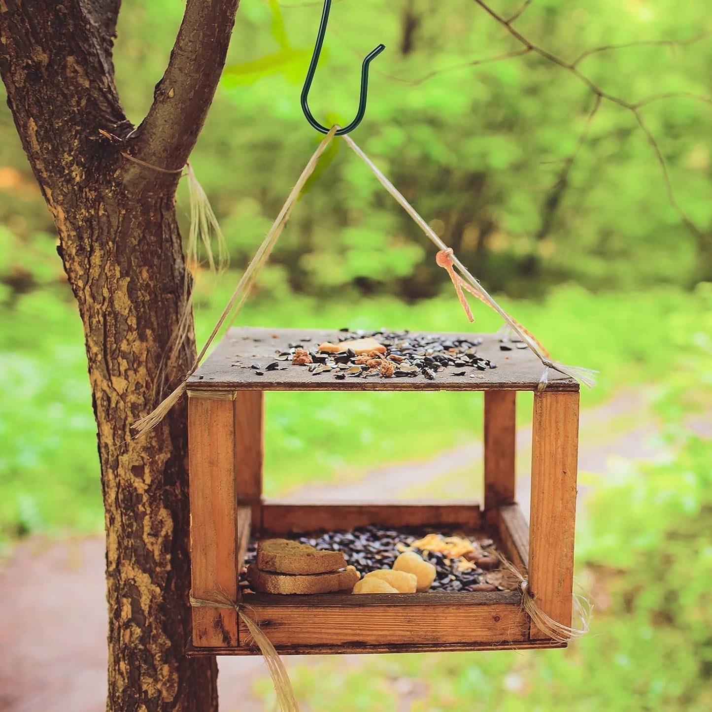 Bird Feeder Hook - 6PK Green