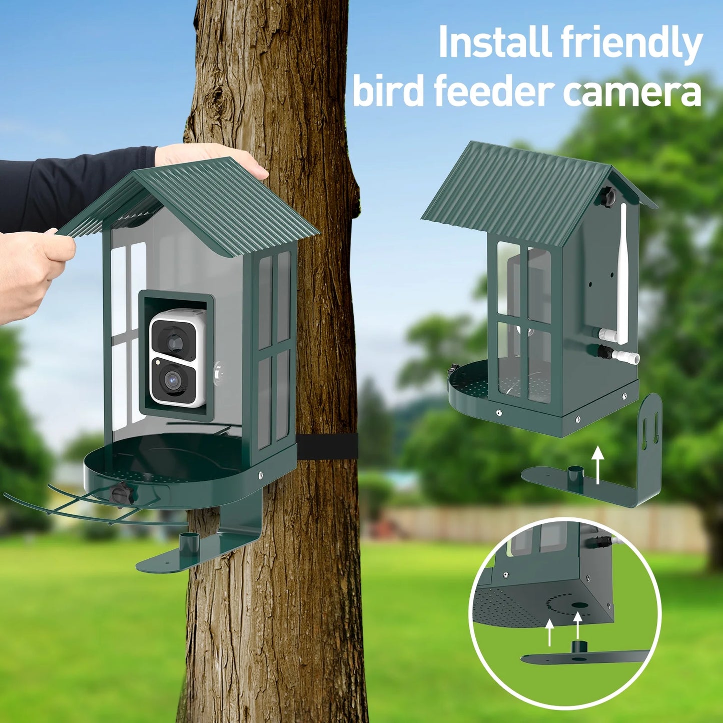 Bird Feeder Camera with 5W Solar Panel