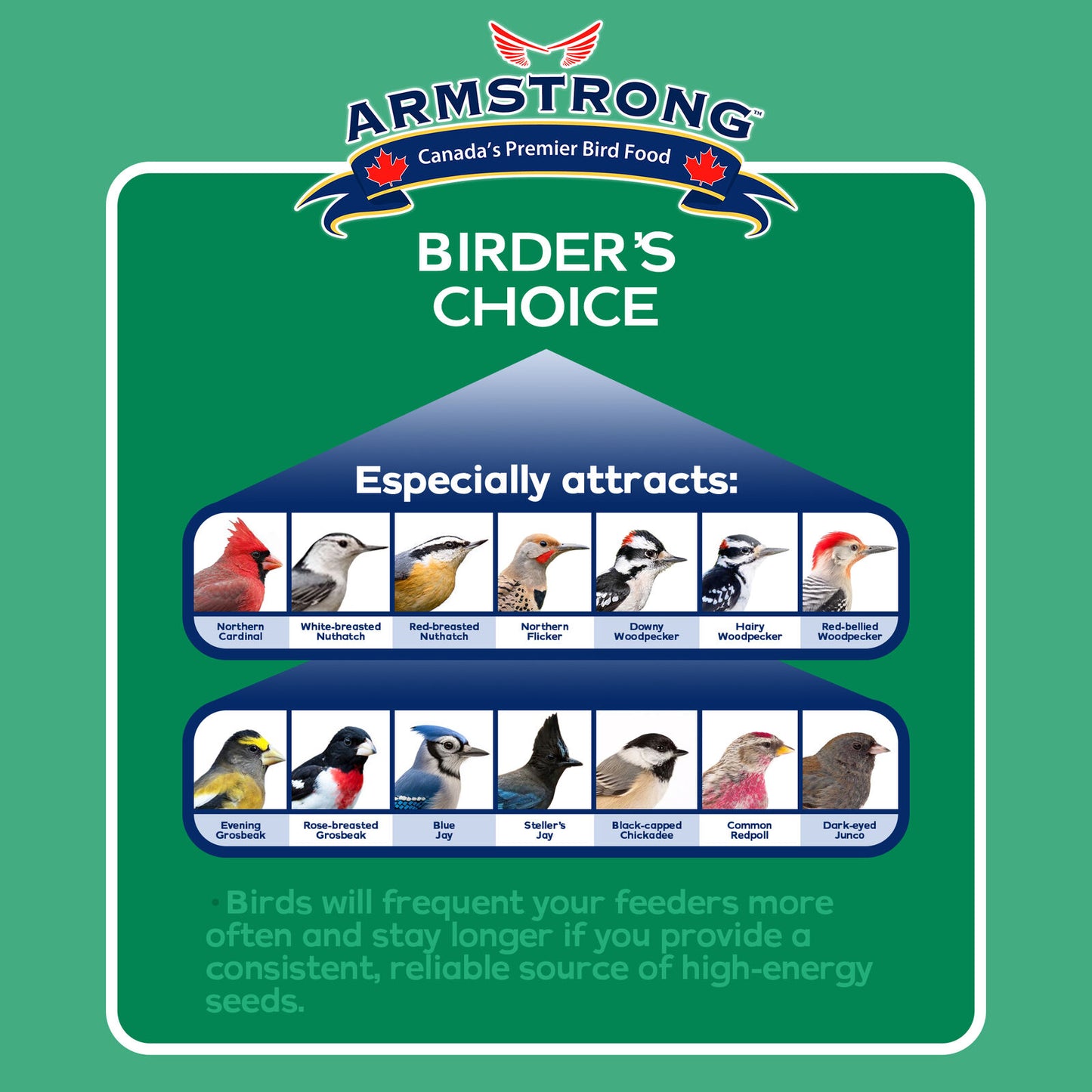 Armstrong Wild Bird Food Birder'S Choice Suet Cake, 11.3Oz (Pack of 8)