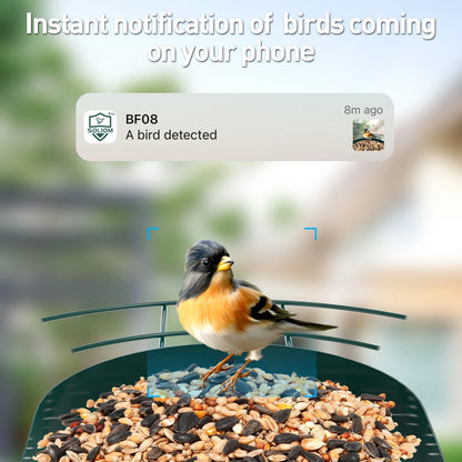 Bird Feeder Camera with 5W Solar Panel