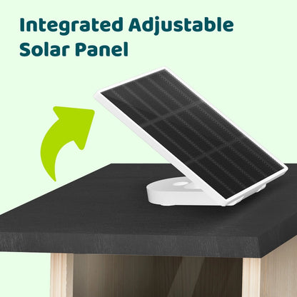 Birdfy Smart Bird Feeder with Integrated Solar Panel and Camera