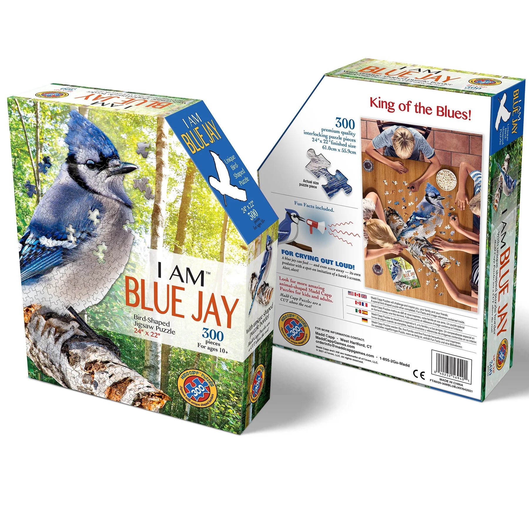 I Am Blue Jay - 300 Piece Jigsaw Puzzle