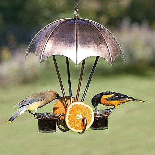 Elegant Copper Double Sided Oriole Bird Feeder