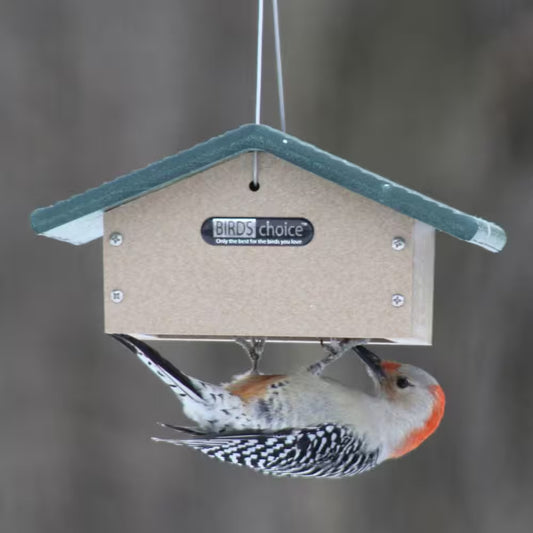 Upside down Suet Feeder - Recycled Poly Wood