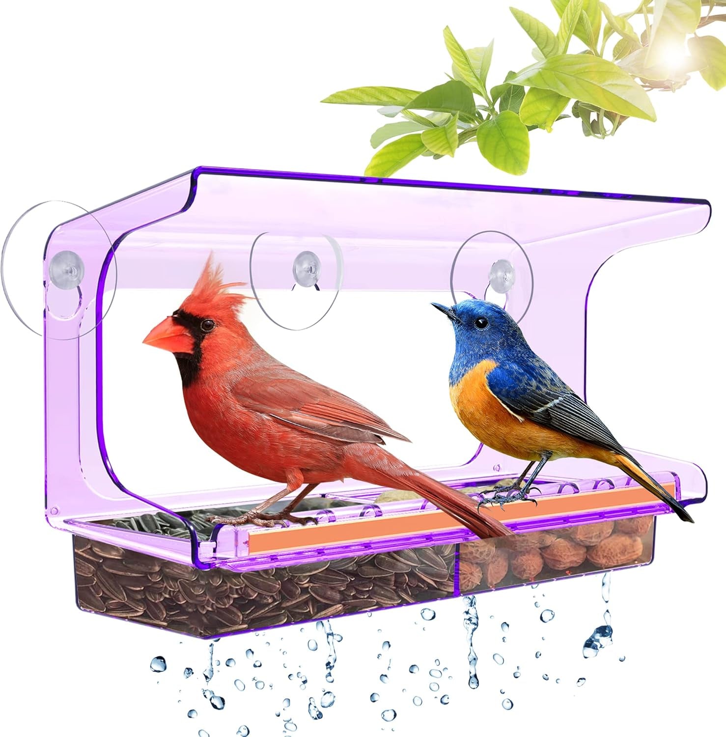 Shatterproof Window Bird Feeder with Strongest Suction Cups, Polycarbonate Window Mount Feeder with Crystal Clear View & Life-Out Tray, Fits Bigger Birds like Cardinal or Blue Jay, Clear
