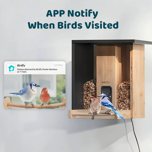 Wooden Smart Bird Feeder with Camera