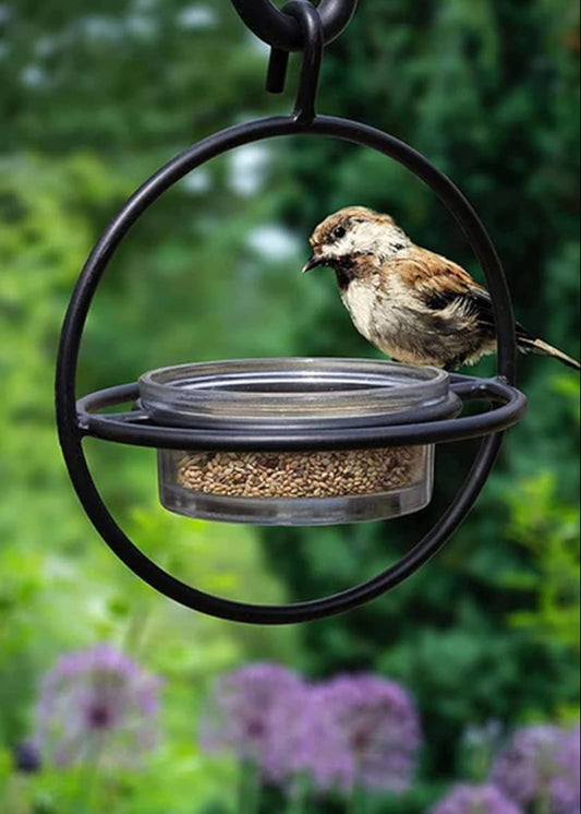 Hanging Bird Feeder with Glass Bowl