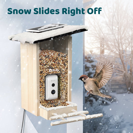 Birdfy Smart Bird Feeder with Integrated Solar Panel and Camera