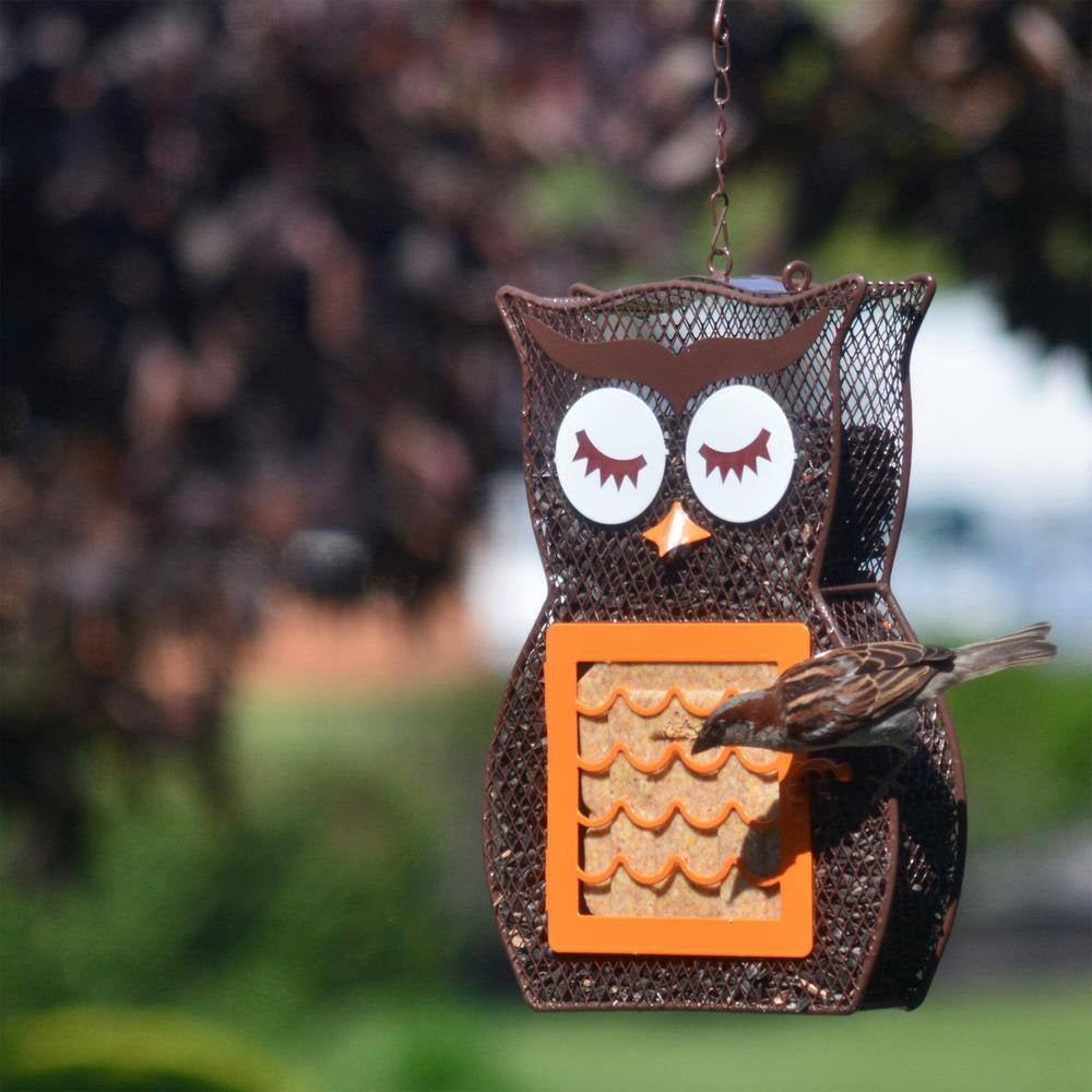 Suet 'N Seed Owl Feeder