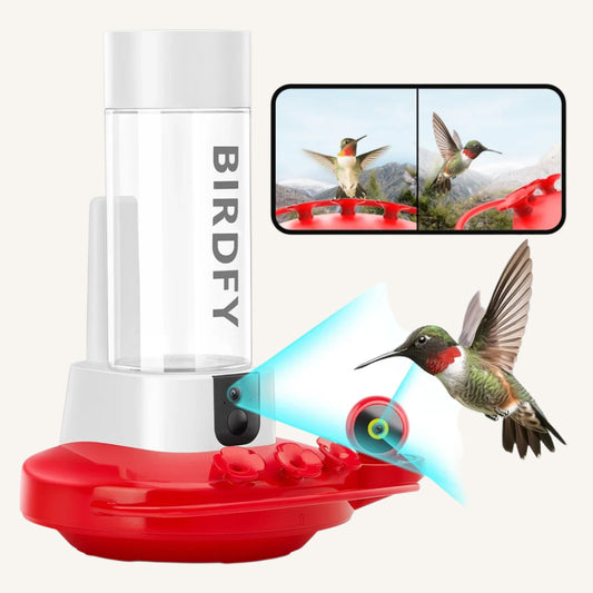 Netvue ® Hummingbird Feeder with Camera, 2K - Dual Camera Hummingbird Feeder