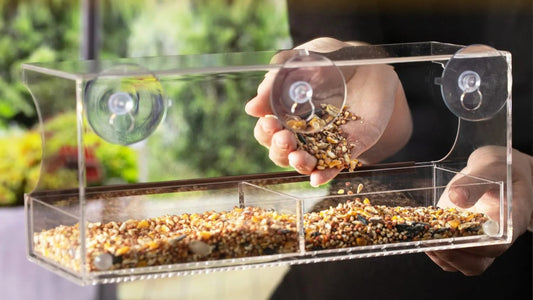 Suction Cup Window Bird Feeder - Clear