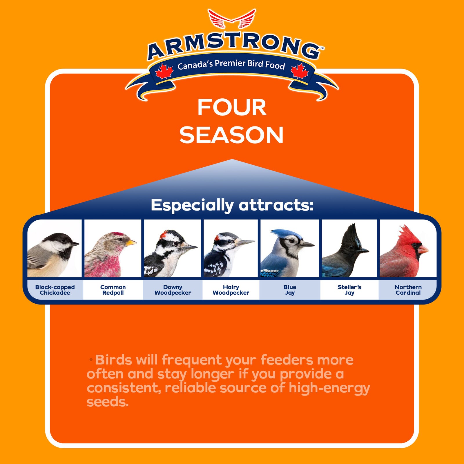 Armstrong Wild Bird Food Four Season Suet Cake, 11.3Oz (Pack of 12)
