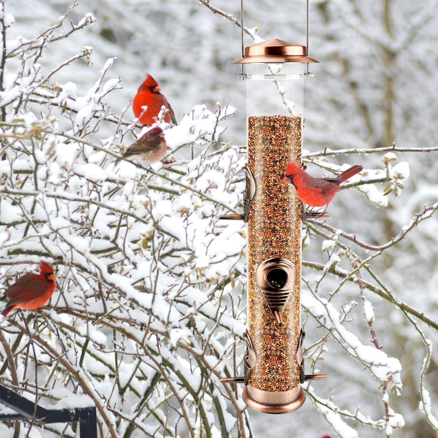 Metal Tube Bird Feeders for Outdoors - 6 Ports Hanging Feeder Attracts Wild Birds in Your Lawn, Garden, Balcony - Antique Copper - 1 Pack