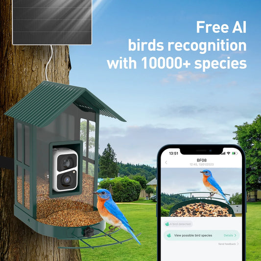 Bird Feeder Camera with 5W Solar Panel