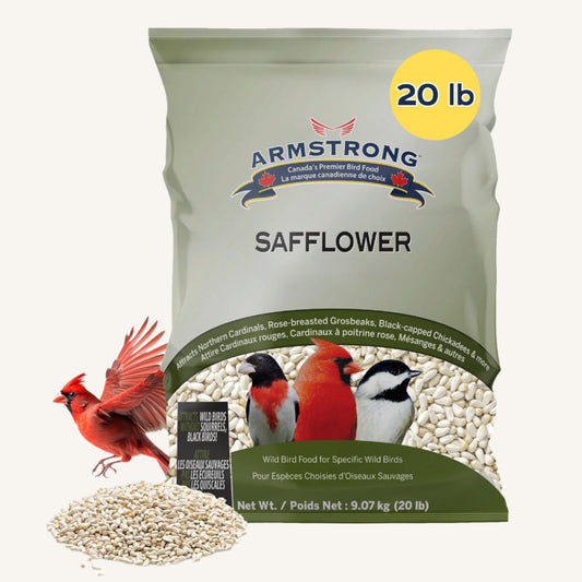 Armstrong Wild Bird Food Safflower Bird Seed - 20lbs