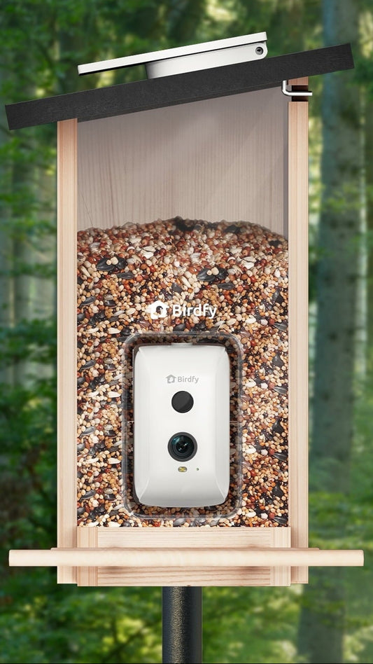 Birdfy Smart Bird Feeder with Integrated Solar Panel and Camera