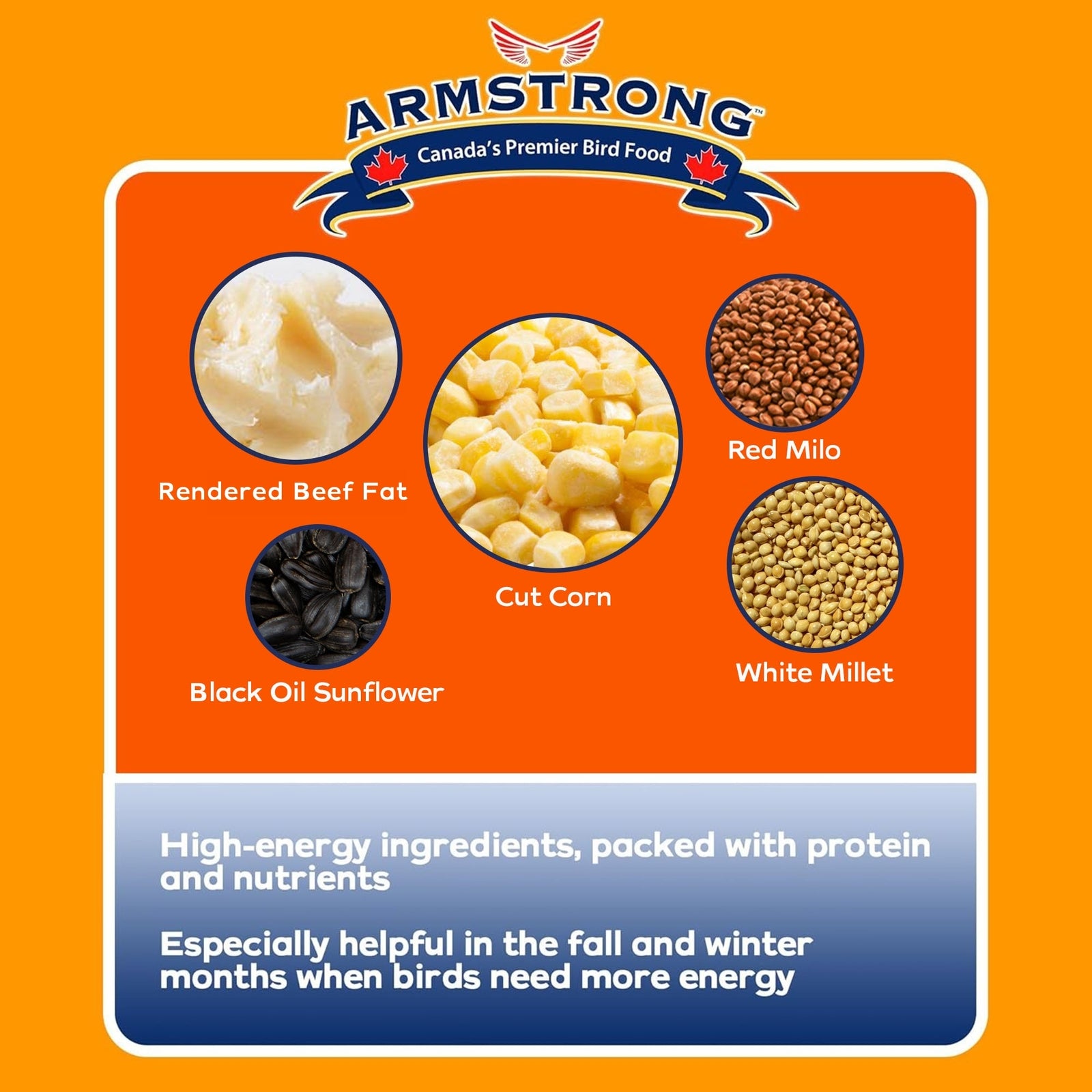 Armstrong Wild Bird Food Four Season Suet Cake, 11.3Oz (Pack of 12)