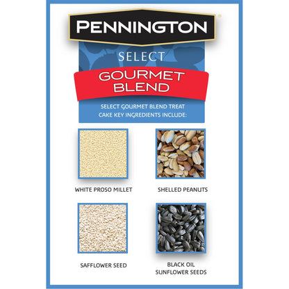 Premium Gourmet Wild Bird Seed Cake - 2 Lb., 2 Packs