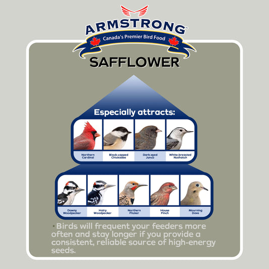 Armstrong Wild Bird Food Safflower Bird Seed - 20lbs